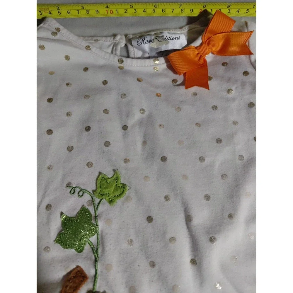 Rare Editions Girls Pumpkin Thanksgiving Outfit Size 5